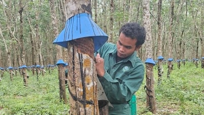 ស្នាក់នៅដើម្បីបុព្វហេតុ
