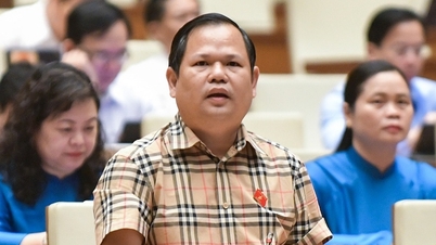 'Cần chế tài mạnh xử lý người trúng đấu giá rồi bỏ cọc'