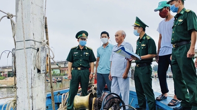 បទប្បញ្ញត្តិច្បាប់អន្តរជាតិ និងកិច្ចខិតខំប្រឹងប្រែងរបស់វៀតណាមក្នុងការដកកាតលឿង IUU