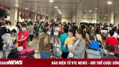 탄손누트 공항에서 659편의 항공편이 지연되었습니다.