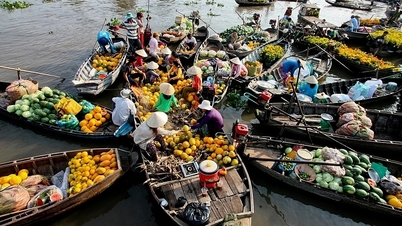 Cẩm nang Du lịch Vĩnh Long 2024, top 13 địa điểm phải trải nghiệm
