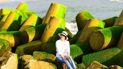 Extremely chill scene at the seaside village embankment covered with green moss