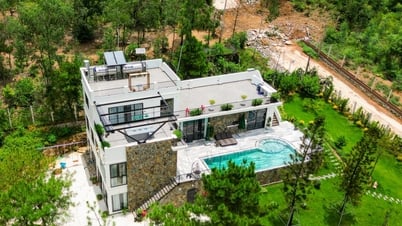 Chi cục Trưởng Kiểm lâm Hà Nội xót trước cảnh rừng Sóc Sơn bị ‘xẻ thịt’