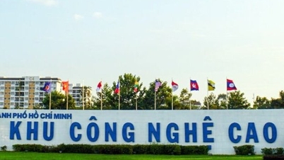 A series of violations related to construction order at Ho Chi Minh City High-Tech Park