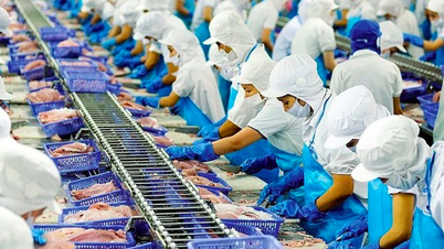 Xuất khẩu cá tra tích cực, cổ phiếu Vĩnh Hoàn được kỳ vọng tăng 16%
