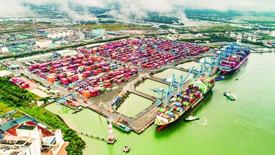 Khởi đầu thuận lợi, triển vọng khả quan