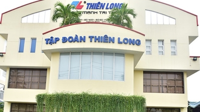 Bút bi Thiên Long (TLG) trả cổ tức 10%, công ty của Chủ tịch Cô Gia Thọ thu về 37 tỷ đồng cổ tức
