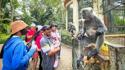 ប្រឈមនឹងហានិភ័យនៃការបញ្ឈប់ប្រតិបត្តិការដោយសារបំណុលជួលដីរាប់រយពាន់លានដុង តើសួនសត្វ Saigon និយាយអ្វីខ្លះ?