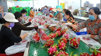 ការ​នាំ​ចេញ​បន្លែ និង​ផ្លែ​ឈើ​កើន​ឡើង​យ៉ាង​ខ្លាំង