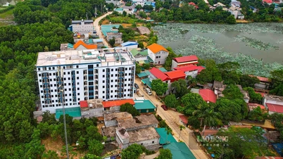 Thanh tra toàn diện hoạt động quản lý chung cư "mini"