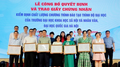 Affirming the pioneering position in training and research of the University of Social Sciences and Humanities, VNU
