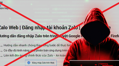 Millions of people are being fooled by fake Zalo website