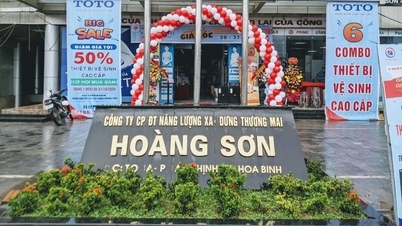 Công ty Hoàng Sơn trúng thầu hàng nghìn tỷ với tỷ lệ tiết kiệm ‘siêu thấp’, nhưng lãi 'mỏng như tờ'