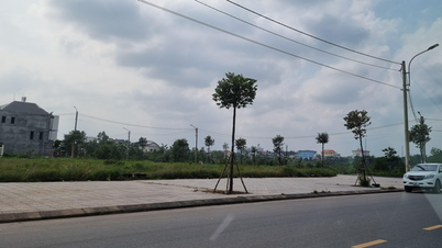 Sau nhiều tháng ế ấm, Quảng Trị bán được những lô đất đầu tiên qua đấu giá