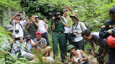 រឿងរ៉ាវអំពីការងារ