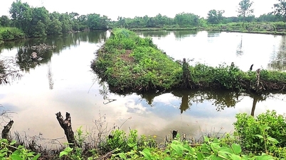 Hơn 6 năm không làm dự án, một công ty bị Cà Mau thu hồi 40.000m2 đất