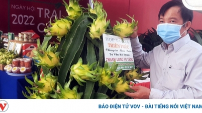 ផ្លែ​ឈើ​វៀត​ណាម​តែង​តែ​ត្រូវ​បាន​អ្នក​ប្រើ​ប្រាស់​ពេញ​ចិត្ត​ក្នុង​ប្រទេស​ចិន។
