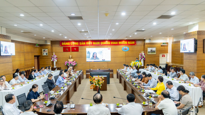 Đề xuất 8 năng lực trong khung năng lực số cho học sinh THPT