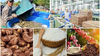 Xuất khẩu nông sản, thủy sản sang thị trường Trung Đông, châu Phi: Đâu là lực cản?