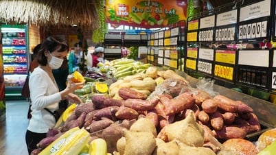 Hệ thống siêu thị giảm giá từ 10 – 50% cho hơn 3.500 sản phẩm Việt