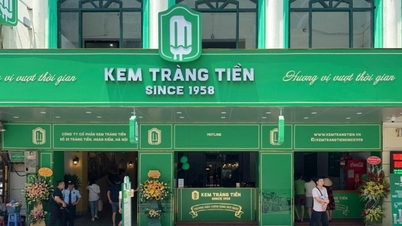 Ocean Group (OGC) បានទទួលរងការខាតបង់រាប់ពាន់លាន ហើយមេដឹកនាំទាំងអស់បានលាលែងពីតំណែង។