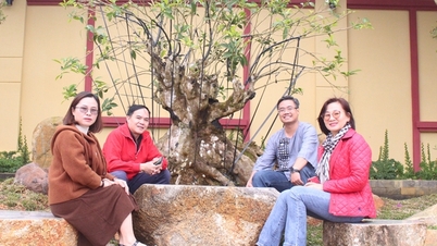 សិល្បៈនៃតែវៀតណាម