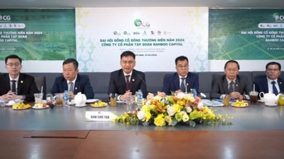 Approved plan to increase capital to more than 8,800 billion VND