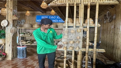 ដើម​ឫស្សី​លែង​ត្រូវ​បាន​គេ​ធ្វើ​បាប​នៅ​តំបន់​និរតី​ទៀត​ហើយ។