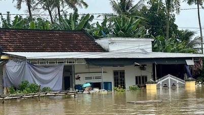Proactively respond and quickly overcome the consequences of floods in the Central region