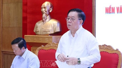 Fasst 50 Jahre vietnamesischer Literatur und Kunst seit der Wiedervereinigung des Landes zusammen