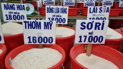 Doanh nghiệp nêu lý do giá gạo xuất khẩu “bốc hơi” 35 USD/tấn