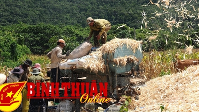 Improving the quality of mass mobilization work in ethnic minority areas