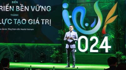 Untangling the Green Transition Knot to Create Value in Sustainable Development