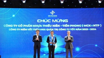 TIEN PHONG PLASTIC IS A LISTED ENTERPRISE WITH GOOD GOVERNANCE IN 2023 - 2024