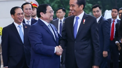 ខំប្រឹង​ប្រែង​សម្រាប់​ទំហំ​ពាណិជ្ជកម្ម​របស់​វៀតណាម