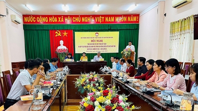 រៀបចំសន្និសីទរួមវិភាគទានលើសេចក្តីព្រាងរបាយការណ៍នៃសមាជខេត្តលើកទី១២ របស់គណៈប្រតិភូរណសិរ្សមាតុភូមិវៀតណាម