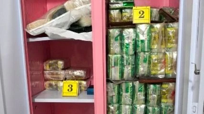 Nahaufnahme von fast 300 kg Drogen, die aus einem „riesigen“ Fall beschlagnahmt wurden