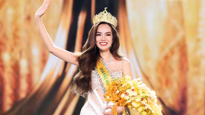 Hoa hậu Lê Hoàng Phương bị chê "lớn tuổi" khó thắng ở Miss Grand International 2023, BTC lên tiếng