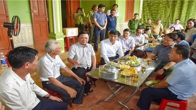 ゲアン省の森林保護支援：森林被覆率の拡大に貢献