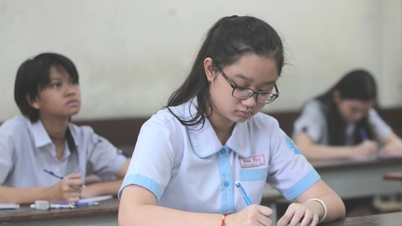Standard scores for specialized and integrated grade 10 in Ho Chi Minh City in the past 3 years