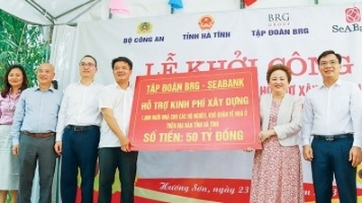 Chủ tịch Tập đoàn BRG Nguyễn Thị Nga