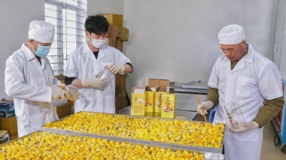 Quảng Ninh: Phát triển 393 sản phẩm OCOP đạt từ 3 - 5 sao