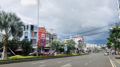 ការរំលោភលើទឹកប្រាក់ជាង 4.6 ពាន់លានដុង ត្រូវបានរកឃើញនៅទីក្រុង Pleiku