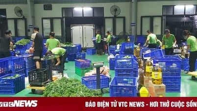 Tăng cường liên kết để thúc đẩy tiêu thụ sản phẩm của HTX