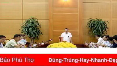 Provincial Party Standing Committee Conference