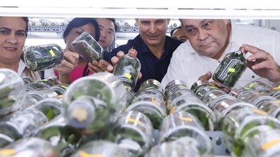 Hội Tiểu nông Cuba tham quan khu nông nghiệp công nghệ cao TPHCM