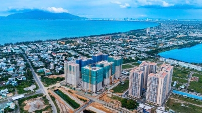 Nhóm động lực trụ cột giúp vùng Tây Bắc Đà Nẵng “hóa rồng”