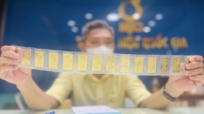 Ngân hàng Nhà nước lần đầu tiên đấu thầu vàng miếng sau một thập kỷ