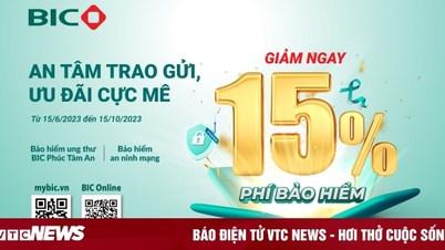 BIC កាត់បន្ថយ 15% នៃការធានារ៉ាប់រងជំងឺមហារីក និងបុព្វលាភធានារ៉ាប់រងតាមអ៊ីនធឺណិតផ្ទាល់ខ្លួន
