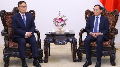 ឧបនាយករដ្ឋមន្ត្រី Tran Luu Quang បានទទួលជួបលោក Choi Young Sam ឯកអគ្គរដ្ឋទូតកូរ៉េប្រចាំនៅវៀតណាម